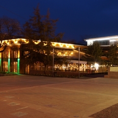 Отель Бутик-Отель Зелёный театр, Симферополь, Крым