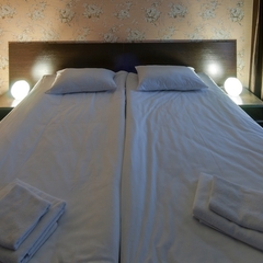 Мини-отель Базилик Скопин, Скопин, Рязанская область