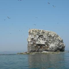 Гостиница Паллада, Славянка, Приморский край