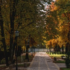 Гостиница Вилла роща, Смоленск, Смоленская область