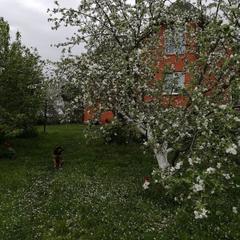 Гостевой дом На Приднепровской, Смоленск, Смоленская область