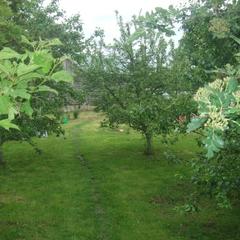 Гостевой дом На Приднепровской, Смоленск, Смоленская область