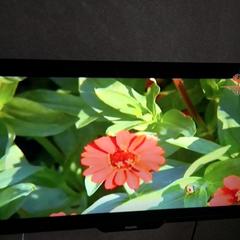 Апартаменты На Матросова 16, Смоленск, Смоленская область