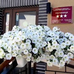 Гостиница Геркулес, Советск, Калининградская область