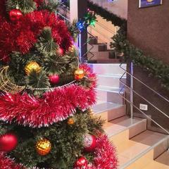 Мини-отель Махаон, Советск, Калининградская область