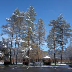 Гостевой дом Павлова Поляна, Солёное, Краснодарский край