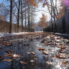 Гостевой дом Павлова Поляна, Солёное, Краснодарский край