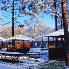 Гостевой дом Павлова Поляна, Солёное, Краснодарский край