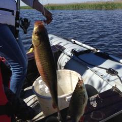 Гостевой дом Застава, Изобильненский район, Ставропольский край