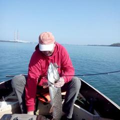 Гостевой дом Застава, Изобильненский район, Ставропольский край