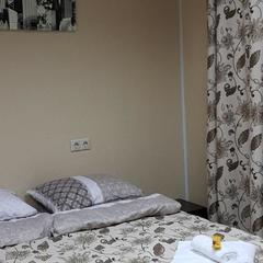 Отель Агат, Солнечногорск, Московская область