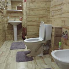 Мини-гостиница Элис, Солнечногорск, Московская область