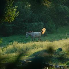 База отдыха Усадьба, Солоники, Краснодарский край