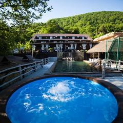 Спа-отель Роз Мари, Солоники, Краснодарский край