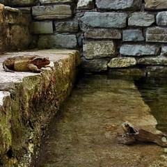 Комплекс Шахе, Солохаул, Краснодарский край