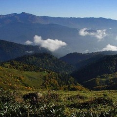 Комплекс Шахе, Солохаул, Краснодарский край