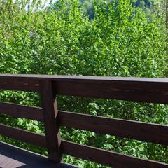 Спа-отель Роз Мари, Солоники, Краснодарский край