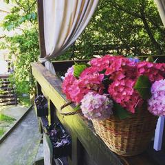 Спа-отель Роз Мари, Солоники, Краснодарский край