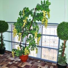 Гостиница Пирамида, Самарская область