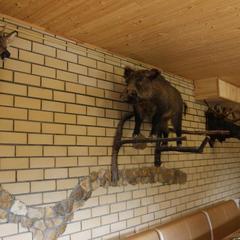 Отель Лесной дом, Сорочьи Горы, Татарстан