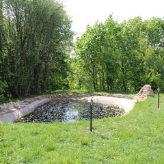 Отель Лесной дом, Сорочьи Горы, Татарстан