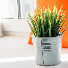 Хостел Дача, Сортавала, Республика Карелия