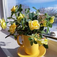 Хостел Ярви, Сортавала, Республика Карелия