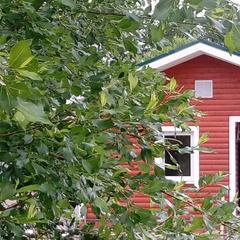 База отдыха Рюттю, Сортавала, Республика Карелия