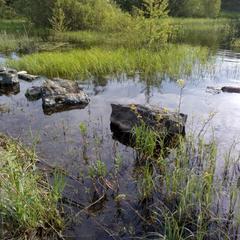 Гостевой дом Тихотут, Сортавала, Республика Карелия