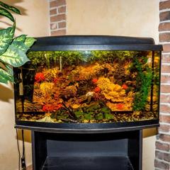 Гостиница Сортавала, Сортавала, Республика Карелия