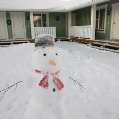 Гостевой дом Family Kodikas, Сортавала, Республика Карелия