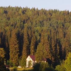 Отель Гурмэ Дикий Шоколад, Сортавала, Республика Карелия