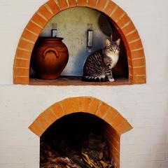 Отель Гурмэ Дикий Шоколад, Сортавала, Республика Карелия