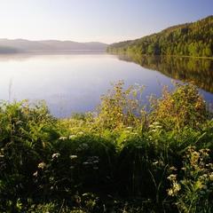 Отель Гурмэ Дикий Шоколад, Сортавала, Республика Карелия