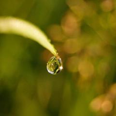 Отель Гурмэ Дикий Шоколад, Сортавала, Республика Карелия