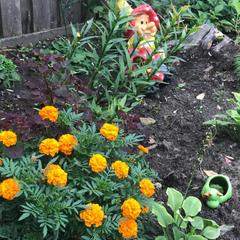 Отель Karjala, Сортавала, Республика Карелия