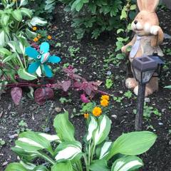 Отель Karjala, Сортавала, Республика Карелия