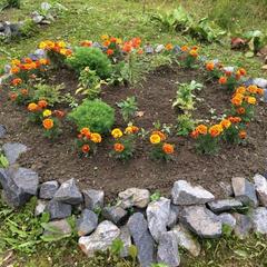 Гостевой дом UimalaRanta, Сортавала, Республика Карелия