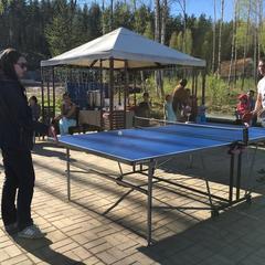 Коттеджный комплекс Русская красавица, Сосновый Бор, Ленинградская область