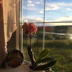 Гостевой дом UimalaRanta, Сортавала, Республика Карелия