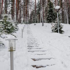 Коттеджный комплекс Русская красавица, Сосновый Бор, Ленинградская область