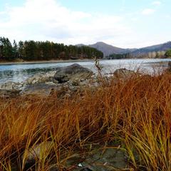 Отель На шумах, Соузга, Республика Алтай