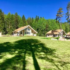 Коттеджный комплекс Русская красавица, Сосновый Бор, Ленинградская область