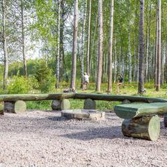 Коттеджный комплекс Русская красавица, Сосновый Бор, Ленинградская область