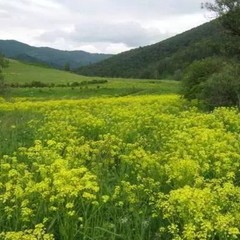 Туристический комплекс Юность, Соузга, Республика Алтай