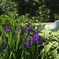 Отель Дом Творчества Гостелерадио, Софрино, Московская область