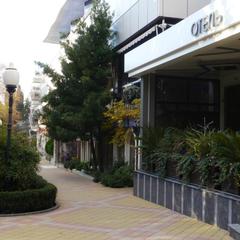 Отель Сочи-Магнолия, Сочи, Краснодарский край