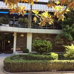 Отель Сочи-Магнолия, Сочи, Краснодарский край