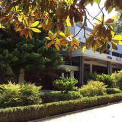 Отель Сочи-Магнолия, Сочи, Краснодарский край