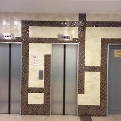 Отель Сочи-Магнолия, Сочи, Краснодарский край